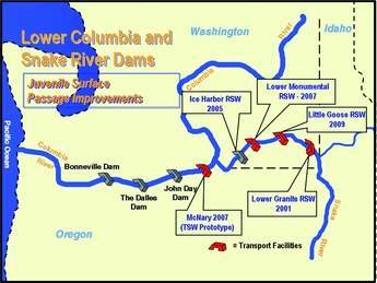 Lower Columbia and Snake River dams