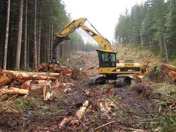 Tree clearing