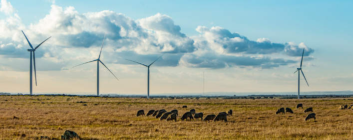 Acciona begins commissioning of 132MW wind farm in Australia