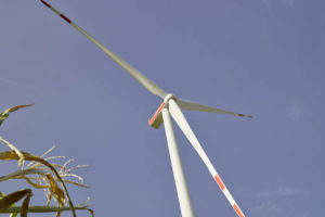 Nordex to supply turbines for Neoen’s 81MW Finnish wind farm