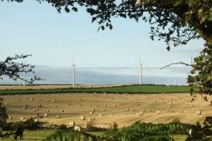 Enel starts construction of 244MW Dolores wind farm in Mexico