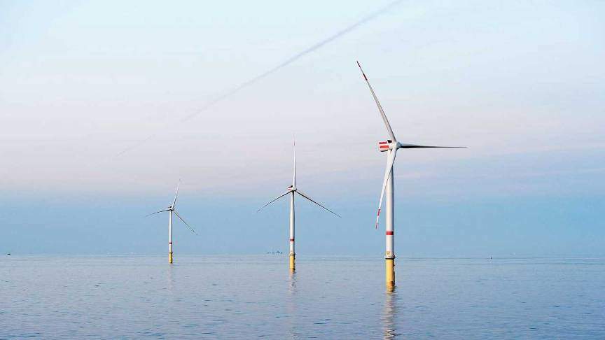 RODA and Ørsted partner to address fisheries and offshore wind coexistence