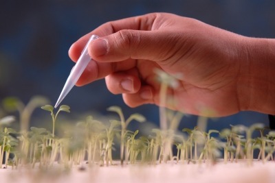 Department of Energy announces $66m for research on plants and microbes
