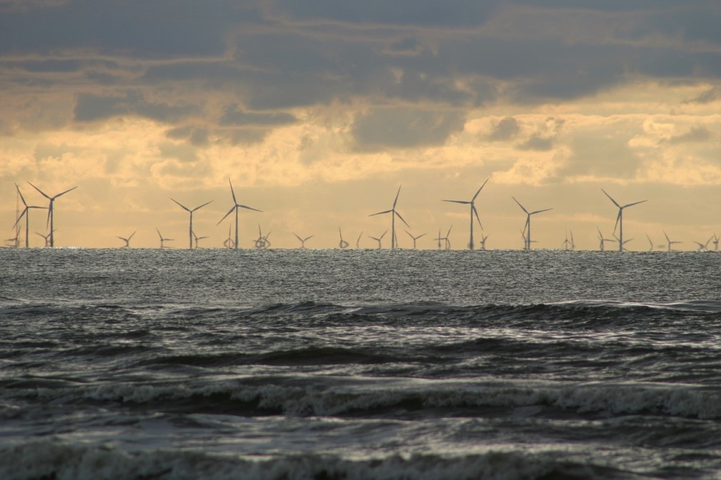 OWC partners with TCE to work on Indian offshore wind