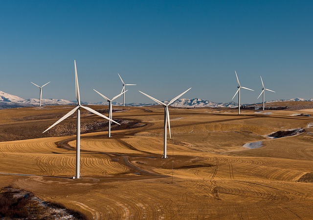 Eolus orders 13 Vestas wind turbines for Wind Wall project