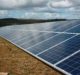 CIT Group leads £113.53m financing to build 67MW Lotus Solar Farm in California