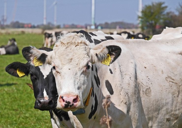 Brightmark Energy invests in dairy biogas project in US