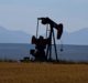 Oil supermajors spent almost $50bn to ‘please investors’ in 2020, report finds