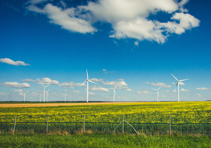 wind-turbines-clear-weather-yellow-flower-field-vibrant-blue-sky