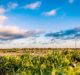 Wind energy start-up WindESCo secures $10m in Series B funding round