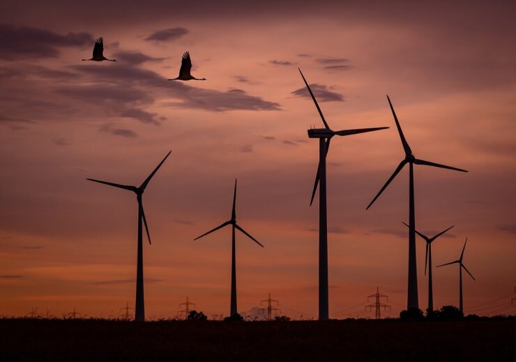 wind turbines birds