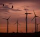 Painting wind turbines black could help protect birds – as long as it doesn’t disrupt their migration