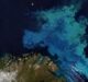CGG Satellite Mapping completes Barents Sea Seeps Study for NPD