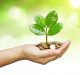 Wave of big investors sign up to Net Zero Asset Managers Initiative