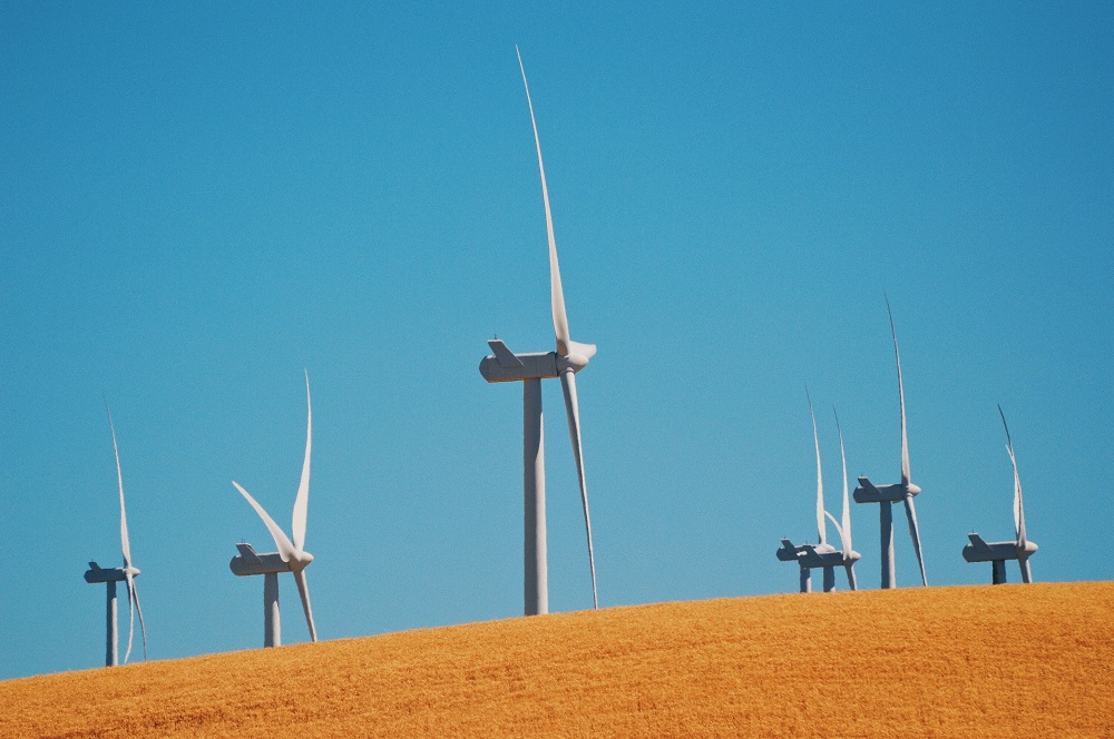 see a business plan to build a wind farm
