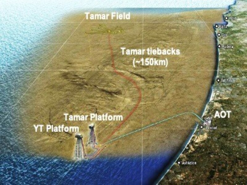 Tamar Field Map
