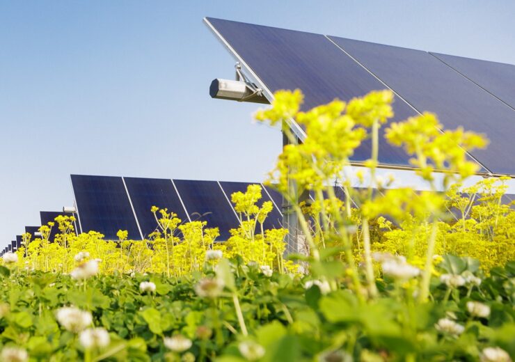 Lightsource bp’s 152.5MW solar farm in Indiana helping reduce Verizon’s carbon footprint
