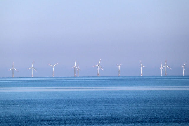 Wind farms currently degrading nature Wind farms currently degrading nature