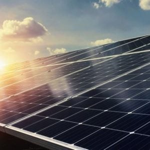 Blue Elephant Bavaria